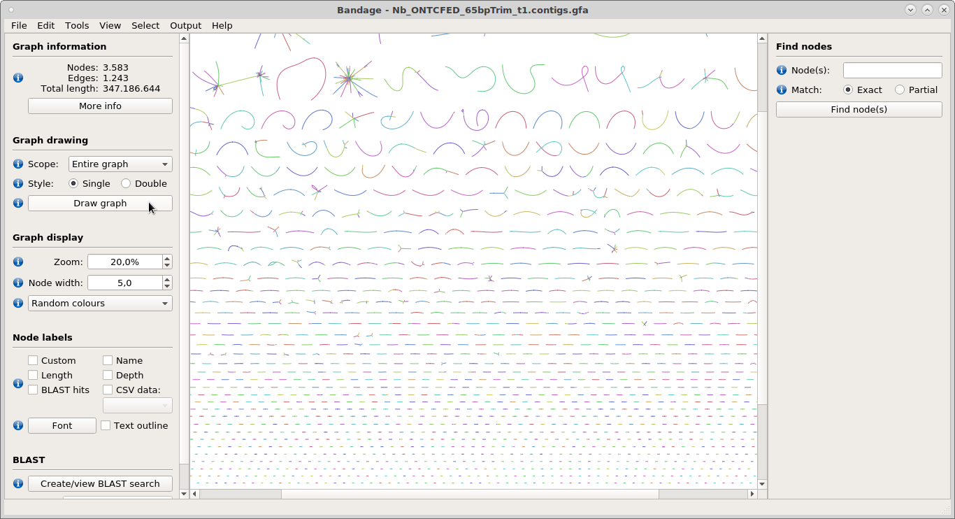 Bandage plot of contigs