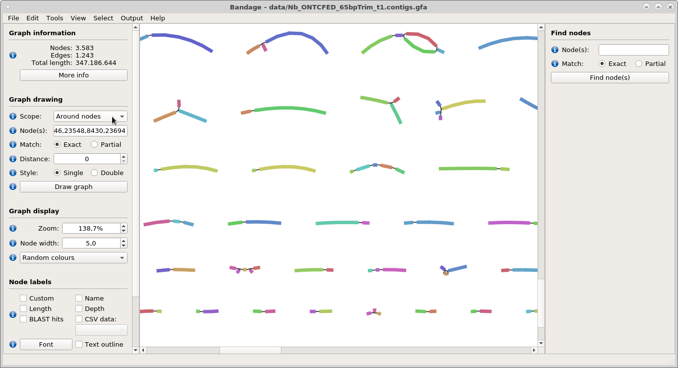 Linear links in Bandage