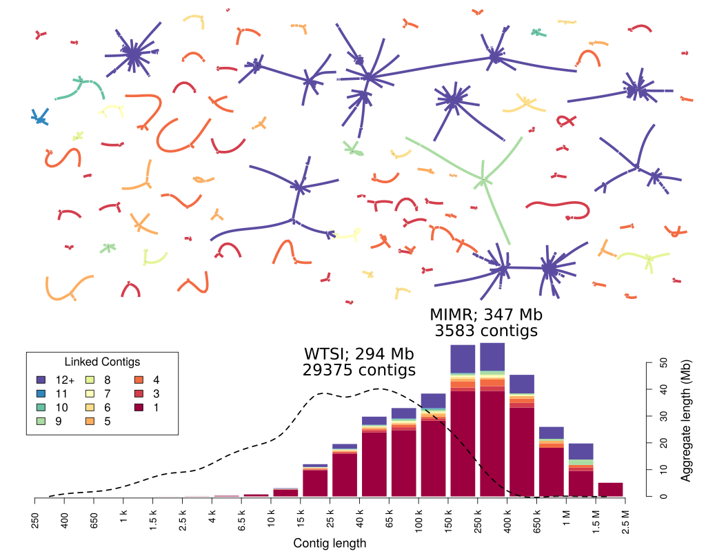 The final product - a genome firework plot