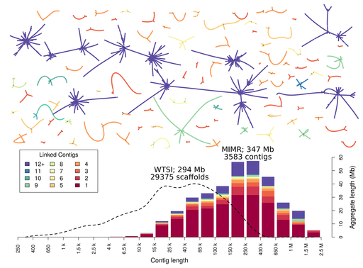 Genome firework plot for Nippostrongylus brasiliensis