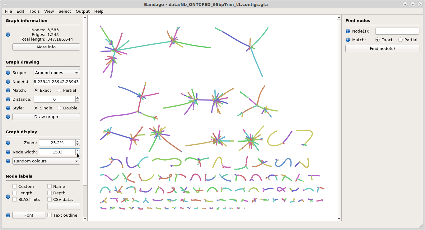 Bandage branch-filtered contigs